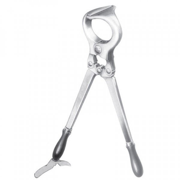 Castration Forceps